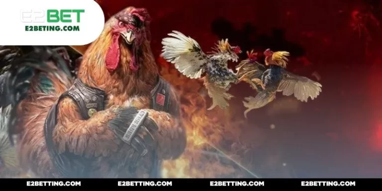 Đá Gà Mộc Hóa – Trò Chơi Với Tỷ Lệ Trả Thưởng Ấn Tượng_692a87aea8da5.webp