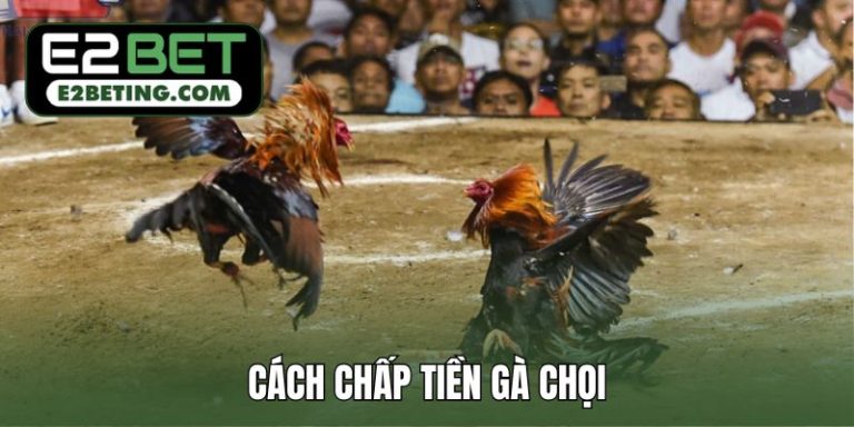 Giải thích cách chấp tiền gà chọi được sử dụng ở các sới_692a87a5dbcba.jpeg